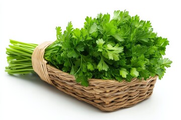 Naklejka premium Freshly harvested cilantro arranged in a natural woven basket, ready for culinary use in flavorful dishes and recipes