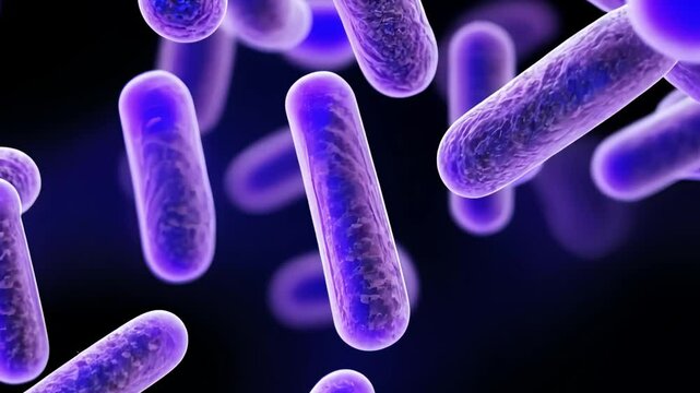 Exploring the fascinating world of bacteria in a vibrant microbial landscape