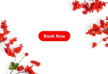 Red 'Book Now' button, isolated on white background, square, clean