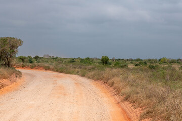 pomarańczowa droga biegnącą przez sawannę w Kenii
