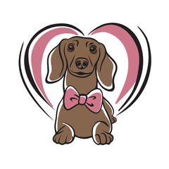 Funny Dachshund silhouette in heart vector black animal on white background, line art