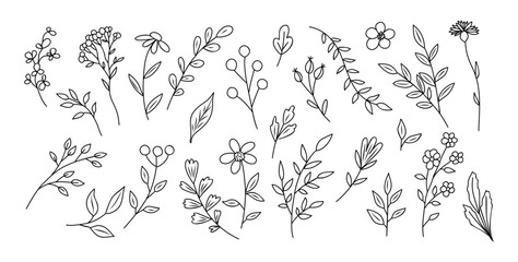 Set of tiny wild flowers and plants line art vector botanical illustrations. Trendy greenery hand drawn black ink sketches collection. Modern design for logo, tattoo, wall art, branding and packaging