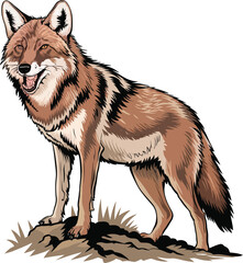 Fototapeta premium Cute cartoon coyote sitting isolated on white background