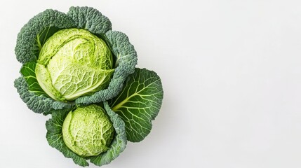 Fototapeta premium Savoy Cabbage Still Life Two Heads, Overhead Composition, White Background, Green Vegetables, Healthy Food Savoy Cabbage, Healthy Eating