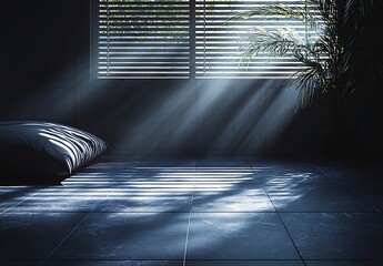 Sunlight Shadows on Modern Minimalist Room Floor