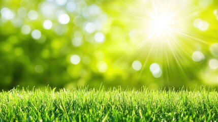 Fototapeta premium A bright, sunny scene featuring lush green grass and a blurred natural background.
