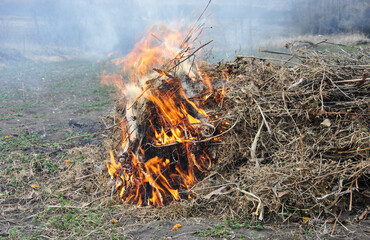 burning dry grass in the garden