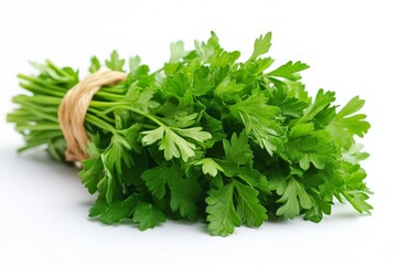 Fototapeta premium Freshly harvested parsley bundle ready for culinary use in a kitchen setting