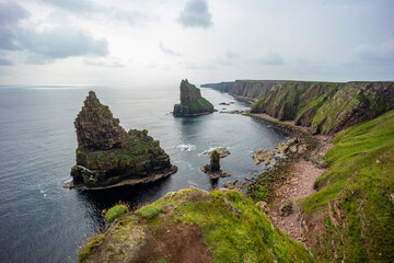 Duncansby Stacks, a breathtaking coastal wonder in Scotland, rise dramatically from the North Sea....