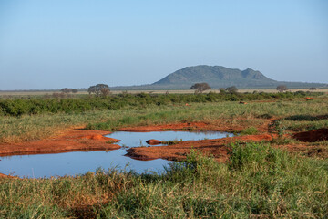 wodopój na sawannie w parku narodowym Tsavo Est w Kenii. Niewielkie oczko wodne w czerwonej gliniastej ziemi © Kamil_k2p