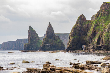 Duncansby Stacks, a breathtaking coastal wonder in Scotland, rise from the North Sea. Standing atop...