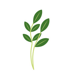 Fototapeta premium Illustration of green leaves with branches 