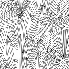 Seamless pattern with abstract lines. Palm leaves black and white pattern.