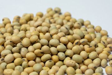 Organic raw soybeans close-up vegan superfood on white background
