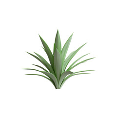 Fototapeta premium An isolated green yucca plant stands out against a transparent background, showcasing its striking pointed leaves and vibrant green color.