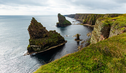Duncansby Stacks, a breathtaking coastal wonder in Scotland, rise from the North Sea. Standing atop the towering cliffs, visitors are rewarded with rugged landscape, an unforgettable scenic hike.