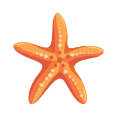Orange starfish illustration with white spots on a white backgro
