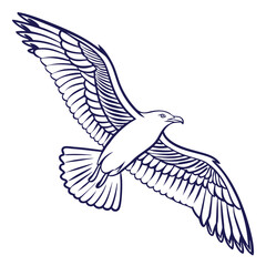 Line Art of a Bird in Flight with Flowing Feather
