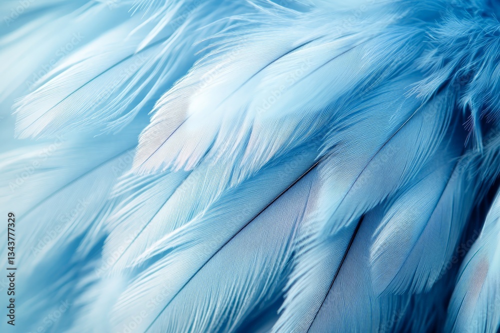 Aufkleber Soft blue feathers create a delicate texture in a close-up view of a bird's plumage during daylight