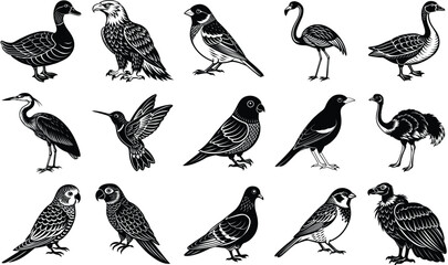 Birds silhouette vector set isolated on white background