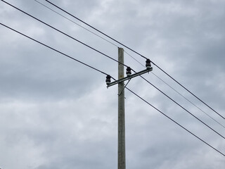 Fototapeta premium Network of electric cables on electric poles, with a cloudy sky in the afternoon