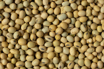 Organic raw soybeans close-up, vegan superfood, top view