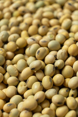 Uncooked Soybean Seeds. Healthy and Nutritious Legumes