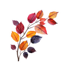 Obraz premium Autumn leaves showcasing vibrant colors against a white background creating a simple yet striking visual composition