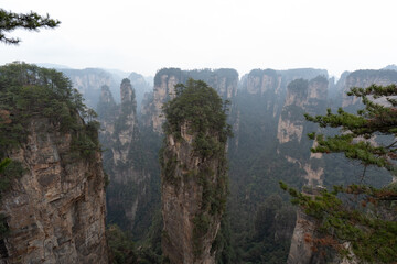 Nature in Zhangjiajie District 1