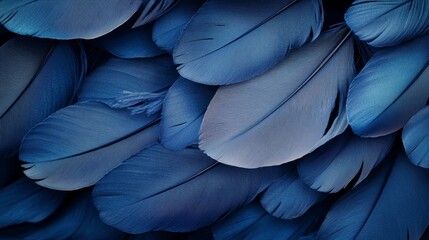 High-quality 3D feather wallpaper for your walls.  Creates a beautiful room.
