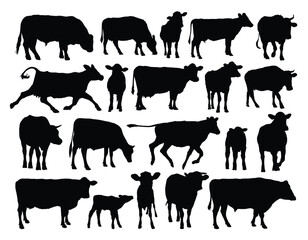 The set of cows and bulls silhouettes.
