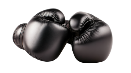 Black Boxing Gloves: Two professional black boxing gloves resting, signifying combat, strength and competition