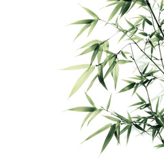 Naklejka premium Tranquil Bamboo on Black Background with Transparent Background