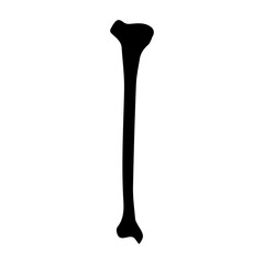 tibia bone anterior glyph icon