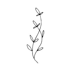 simple leaf hand drawn illustration