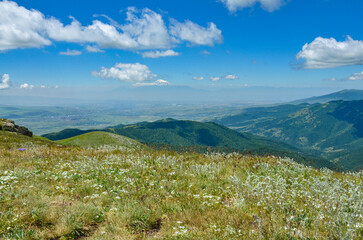 alpine meadow on Mount Teghenis  with Ararat and Arailer mountains scenic view (Tsaghkadzor, Armenia)