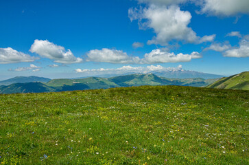 alpine meadow on Mount Teghenis  with Aragats and Bujakanisar mountains scenic view (Tsaghkadzor, Armenia)