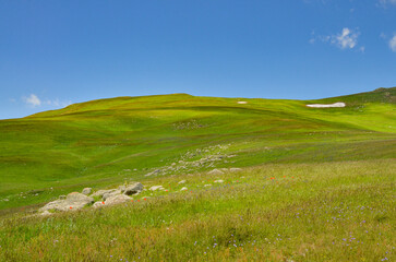 alpine meadows and melting snow on Mount Teghenis (Tsaghkadzor, Armenia) 
