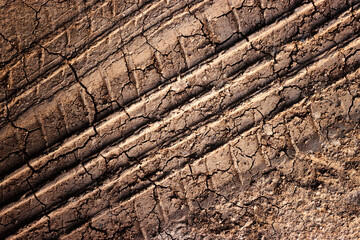 Brown soil and tire marks from a car