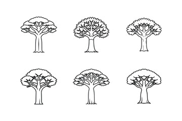 baobab tree line art vector illustration
