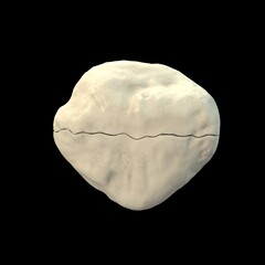 Patella undisplaced fracture, 3D illustration