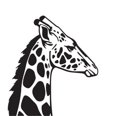 Giraffe head silhouette isolated on white background. Giraffe silhouette. Vector illustration.