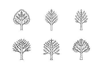 birch line art vector illustration