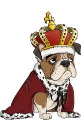 Bulldog in Costume