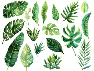 set of green leaves isolated on white background