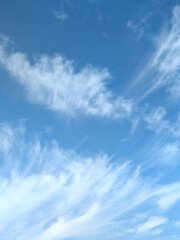 Wispy high-altitude delicate feathery white clouds in the sky