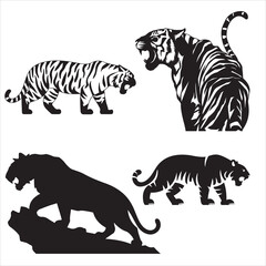 set vector various poses tiger, roaring tigers silhouettes