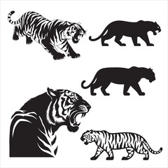 set vector various poses tiger, roaring tigers silhouettes