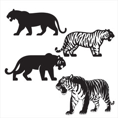 set vector various poses tiger, roaring tigers silhouettes