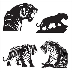 set vector various poses tiger, roaring tigers silhouettes